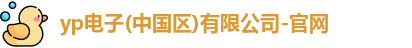 yp电子